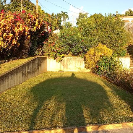 Charmant Appartement Verdoyant Le Morne-Vert エクステリア 写真